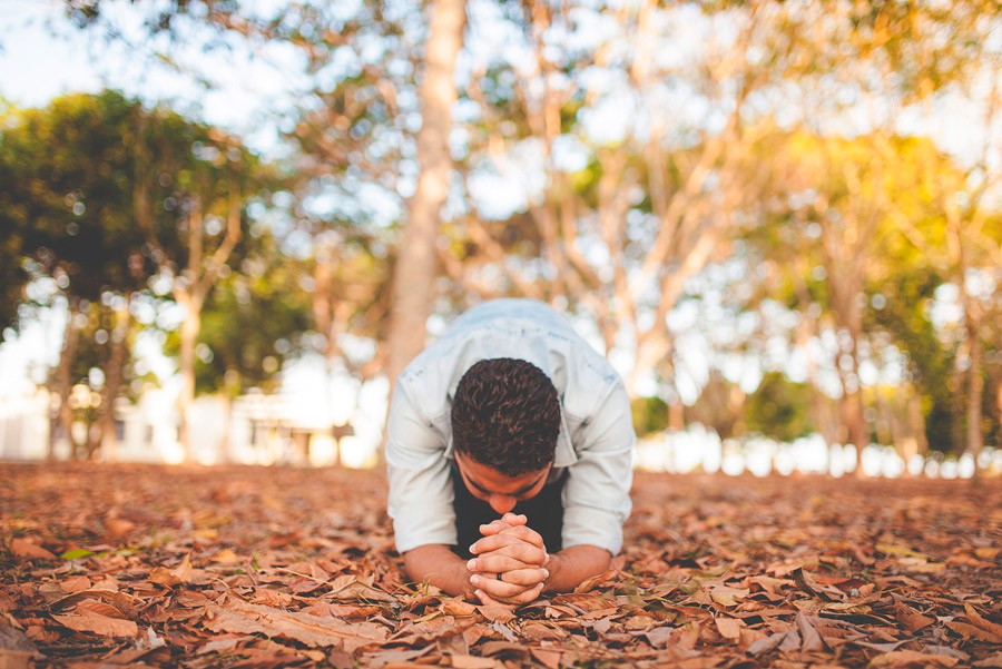 Motivação – E Gratidão